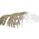 Modèle « Haute Forêt »