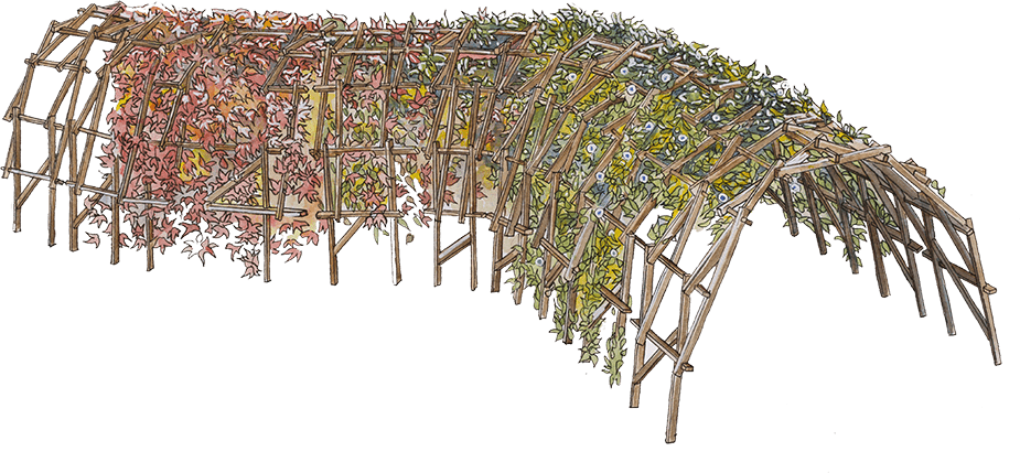 Sinallagma Structure bout du monde aquarelle