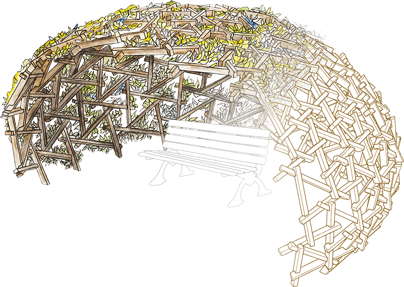 Sinallagma structure folle pensee aquarelle et filaire