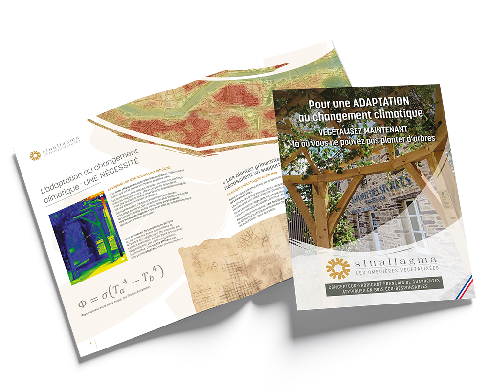 Brochure Sinallagma mockups